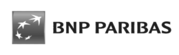 bnp_dark